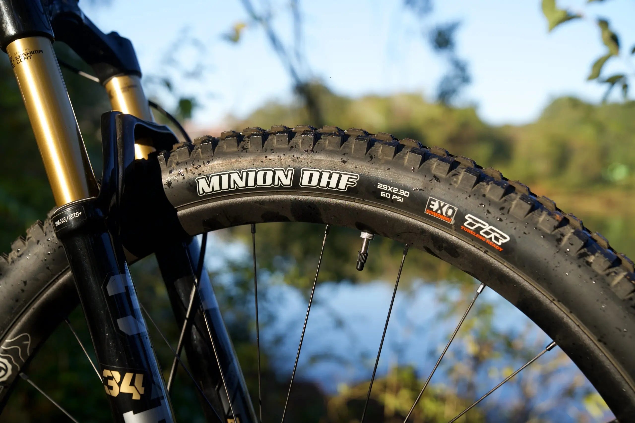 maxxis minion dhf mtb bicycle tire