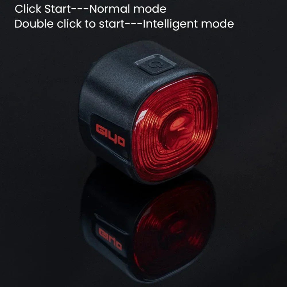 250mahcapacity gl09s